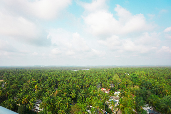 View From Higher Floor